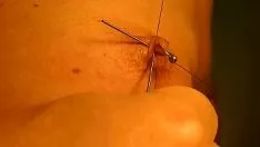 Riproduci Giocattolo affilato con punte stilostixis 1