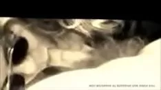 चलाएँ लेदर ऐन सक्शन ए क्रूमैन साशा