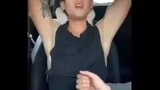 播放 令人愉快的 暹罗 男孩 passjob