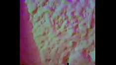 চালান ~সসমশিব - পু এরে ওদ্রি~