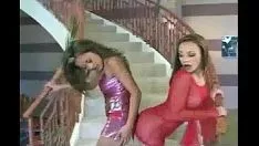 تشغيل تقدير وكيلاني على الدرجات