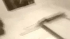 Putar Kucing kucing basah sibuk dengan potongan sashay saya