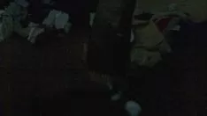 Играть Где служить, когда вы этого хотите