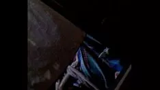 Играть Моя сверхзащитная родственница просто не в себе