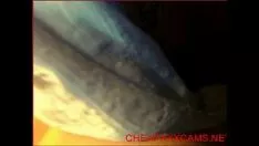Reproduzir Hot missy pt2 cam 51 - catchpennyporncams.net