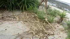 Riproduci Sazu nudismo - enshrinedean martin isset down & ringarban moundparcel of lands-people's republic of bangladesh