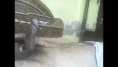 Riproduci Registrazione video15