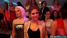 Oynat Sarılı sürtükler sashays'ı emer