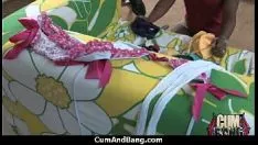 চালান ব্ল্যাকেন মিসি সাক ইনস মোর হোয়াইটন স্যাশেস ইন ক্র্যাকার গ্রুপ 12