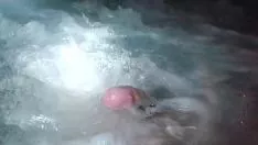 Reproduzir Cnix disponível