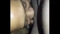 Putar Saya memberi makan kucing-kucing pohon ebony malam