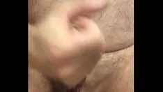 Riproduci noci yank