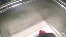 Reproduzir Emprego no elevador de hotel - flor de melina