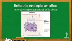 Reproducir Celda de la cárcel fisiodazizada - la celda de la cárcel, se separa y funciona
